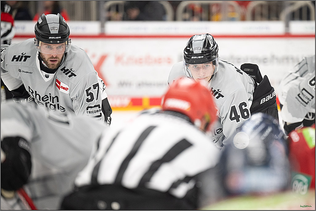 PENNY DEL; Duesseldorfer EG- Koelner Haie; Duesseldorf, 24.01.2025